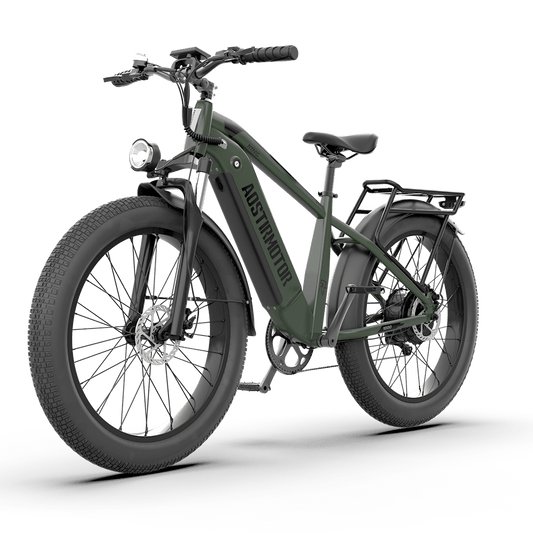 52V All-terrain Electric Bike King
