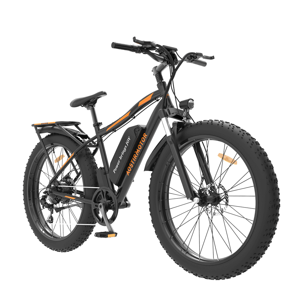 Commuter Electric Bike Affordable 750W Electric Bike